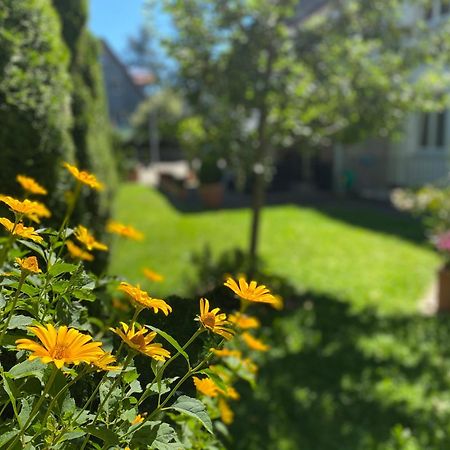 מינכן Hotel Villa Solln מראה חיצוני תמונה